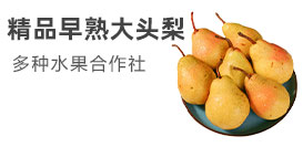 河南誠信紅黃大頭梨基地多種水果合作社